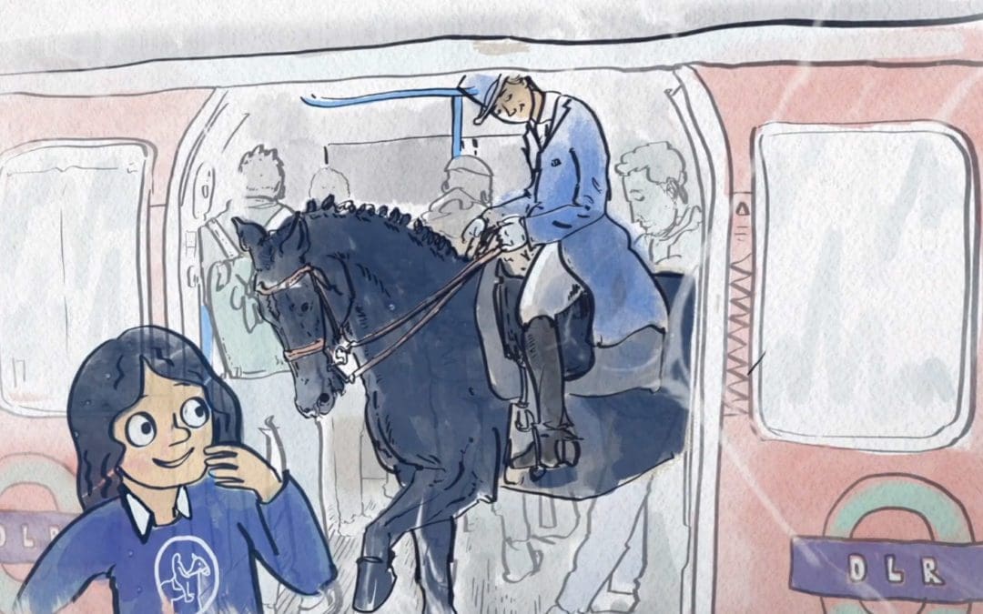 The International Horse Show